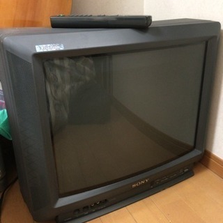 テレビ 無料