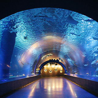 9月5日 9 5 関東一人気の葛西水族館コン みんなでペンギンを見に行こう 全国恋活パーティー 葛西臨海公園のパーティーのイベント 参加者募集 無料掲載の掲示板 ジモティー 9月5日 9 5 関東一人気の葛西水族館コン みんなでペンギンを見に行こう 全国恋活パーティー 葛西臨海公園のパーティーのイベント 参加者募集 無料掲載の掲示板 ジモティー