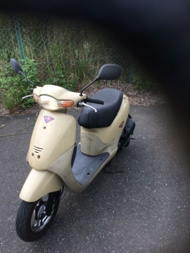 浦安発！乗れます。ホンダ ディオ Fit