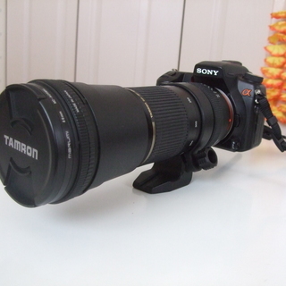【動作確認品】SONY　α700　一眼レフ　シグマ　カメラレンズ含むまとめ売り シグマレンズの絞りエラーをボディ側で回避する方法。』 SONY
