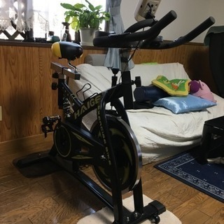 HAIGE エクササイズバイク スピンバイク