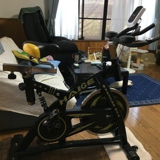 HAIGE エクササイズバイク スピンバイク