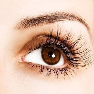 和歌山県の美容 ジモティー