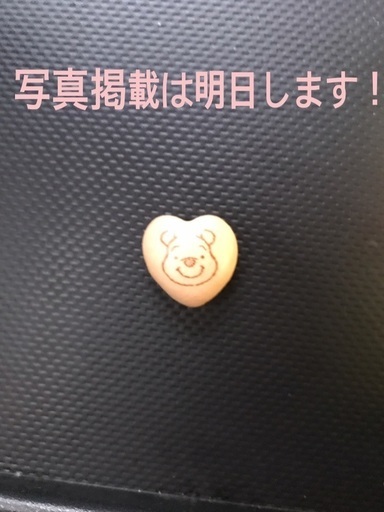 マグナ50