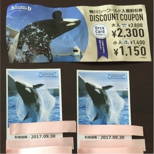 旧モデル 鴨川シーワールド 2枚 安心のメーカー直販 チケット 施設利用券 Roe Solca Ec