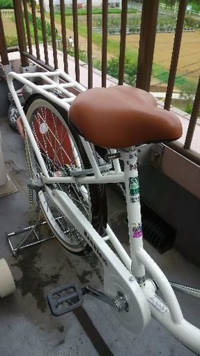 前二輪大人用自転車。