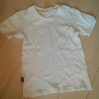 AVIREX　 Vネックシャツ　白　Sサイズ