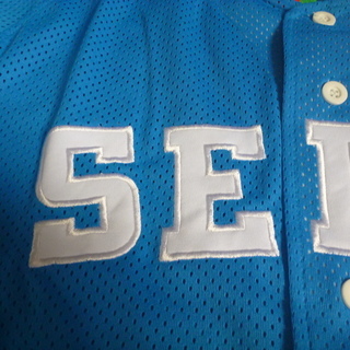 ★入手困難・絶版希少　新品未使用！★送料無料です　【西武ライオンズ　黄金期ビジターユニフォーム】刺繍高級感あり