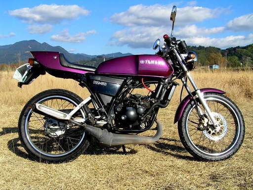 RZ50 RA02J　メタリックパープル！　 自賠責1年付き　栃木県
