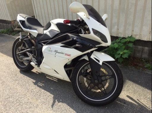 メガリ 250