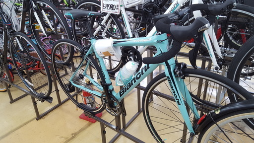 Bianchi　INTREPIDA　105　期間限定価格！