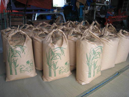 平成29年度　三重県産（鈴鹿）・新米コシヒカリ　30ｋｇ