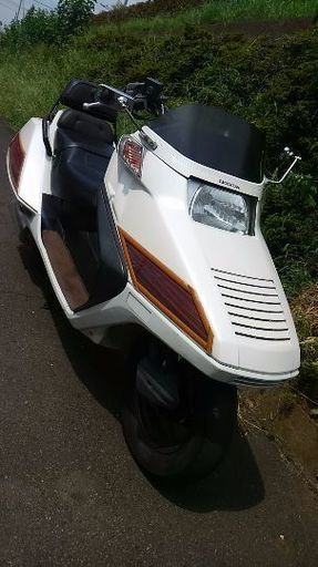フュージョンX 最終型 木目