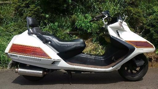 フュージョンX 最終型 木目