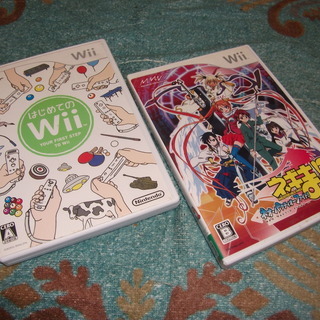 Ｗｉｉ　ゲームソフト２本セット