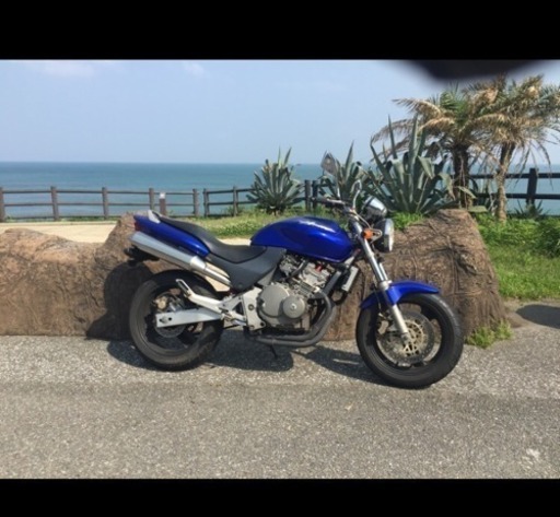 絶好調のホーネット