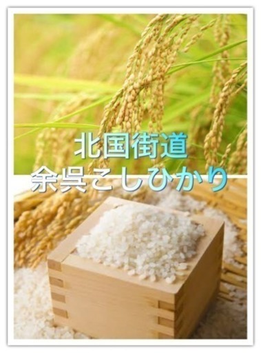 こしひかり 30㎏