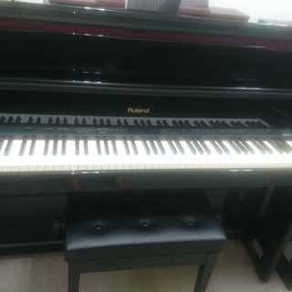 Roland　LX-15PE　2013製　￥130.000-