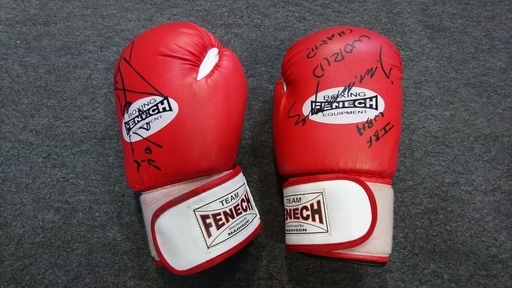 ボクシング　グローブ　１２オンス　TEAM　FENECH　オーストラリアで購入