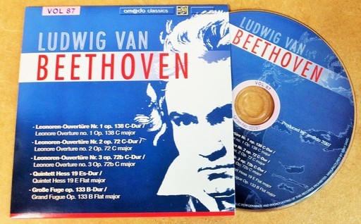 ベートーヴェン LUDWIG VAN BEETHOVEN ヴェートベン 87CD◇748