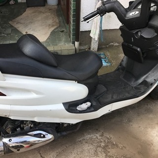 sym rv125jp ホワイト