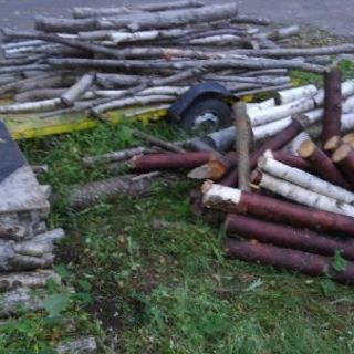 値下げ！薪用の原木　軽トラ約4台分　引き取り希望