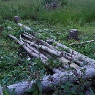 値下げ！薪用の原木　軽トラ約4台分　引き取り希望