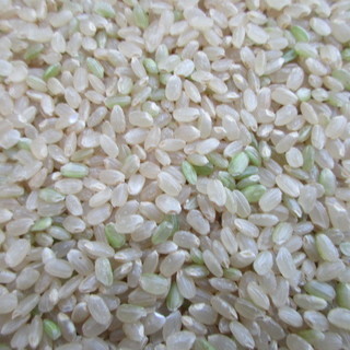 ２９年度山口県阿東産コシヒカリ1 ０ｋｇ玄米【生産農家の直売