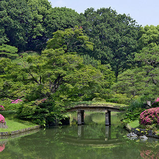 9月18日(9/18)  風情を楽しむ！六義園日本庭園ウォーキン...