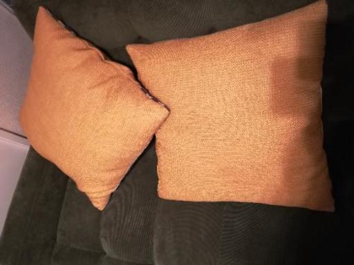 ニトリクッションカバー2個セットイエローおしゃれ Luna 中央のファブリック カバー クッション の中古あげます 譲ります ジモティーで不用品の処分 ニトリクッションカバー2個セットイエローおしゃれ Luna 中央のファブリック カバー クッション の中古あげます 譲ります ジモティーで不用品の処分