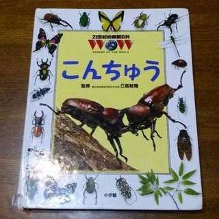 小学館: 21世紀幼稚園百科⑦こんちゅう