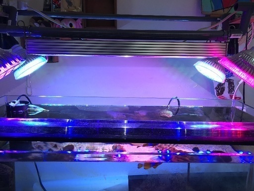 海水用品一式