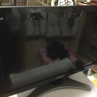 AQUOS 液晶テレビ 26V型ワイド