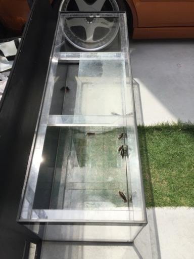 大型アクリル水槽 楽天市場】（大型）水槽 アクリル水槽 アクリルクリアタンク
