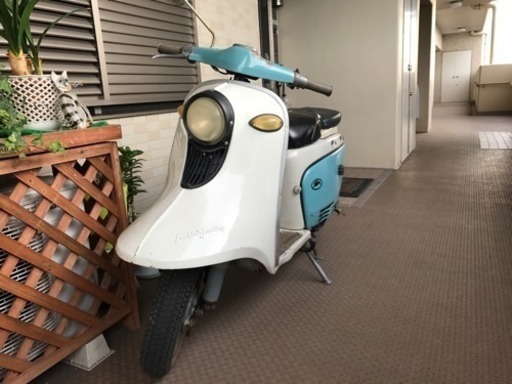 ラビットS301