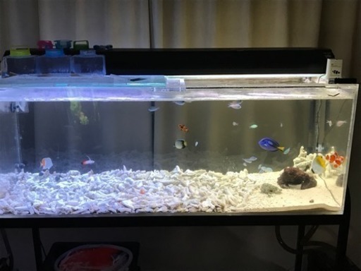 最終値下げ120cmアクリル水槽 水槽台 ライト