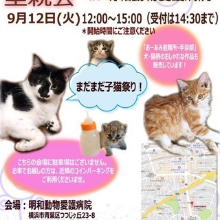 ９月１２日（火）まだまだ、子猫祭り！　定例里親会を開きます