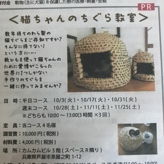 ご一緒にいかがですか？の画像