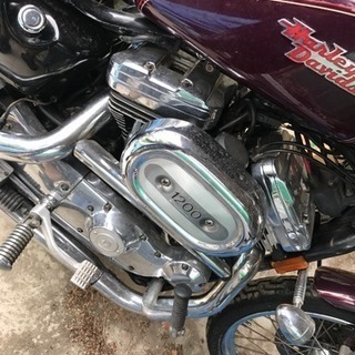 ﾊｰﾚｰﾀﾞﾋﾞｯﾄﾞｿﾝ ｽﾎﾞｽﾀ1200