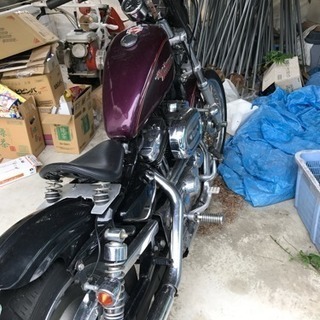 ﾊｰﾚｰﾀﾞﾋﾞｯﾄﾞｿﾝ ｽﾎﾞｽﾀ1200