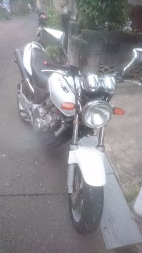 埼玉新座から、ホーネット250
