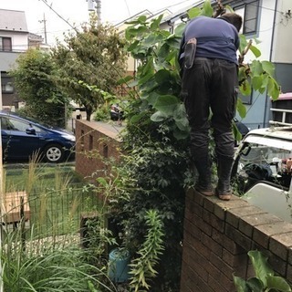 庭木の剪定 除草 庭のお手入れ致します。【所沢市 狭山市 入間市...