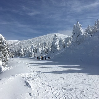 スキー/スノボー/サークルskiss ! ⛷仲間募集★京都で25年 ★会費無料⛄年齢や技術不問！の画像