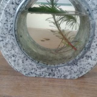 石の金魚鉢