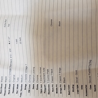 エレキギターsuhr テレキャス