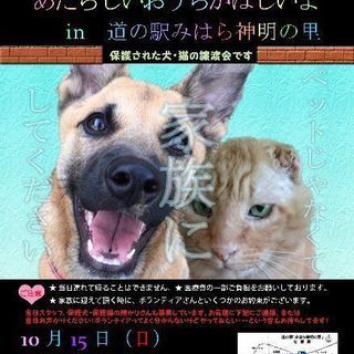 犬と猫のあたらしいおうちがほしいよ‼ in 道の駅みはら神明の里...