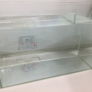 ADA60cmガラス水槽