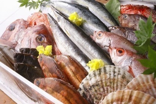 魚の料理教室 魚のおろし方 魚料理 プロの一手間 全てお教えいたします マコ 茅ケ崎の料理の生徒募集 教室 スクールの広告掲示板 ジモティー