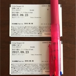 日付指定 9/23祝 東京ディズニーシー ペアパスポート