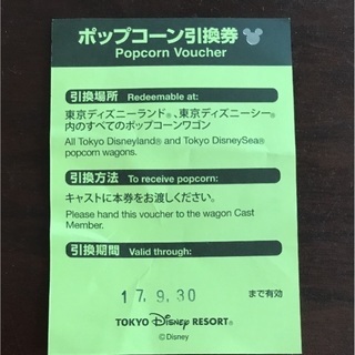 日付指定 9/23祝 東京ディズニーシー ペアパスポート